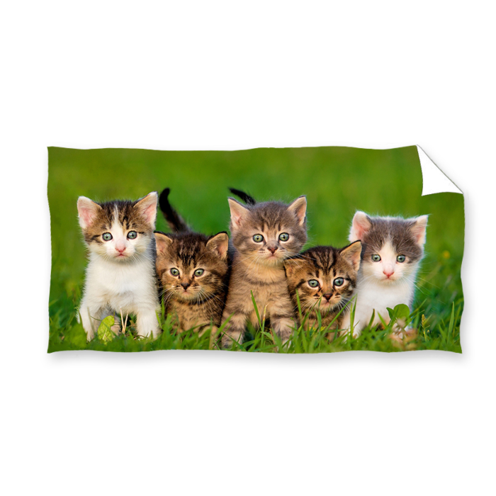 Carbotex Badlaken 5 kleine poesjes in grasveld 70x140cm