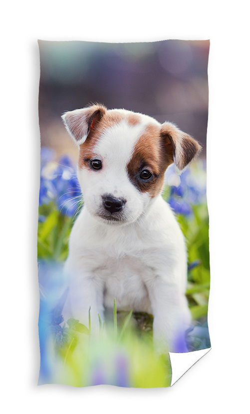  Carbotex Badlaken hond in bloemenveld 70x140cm